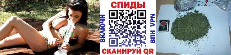 дарнет шоп Переславль-Залесский Бутират буратино
