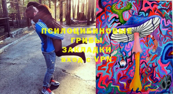 бошки Володарск
