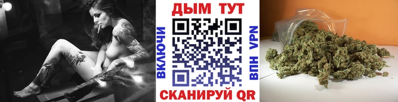 Бошки Шишки сатива Переславль-Залесский